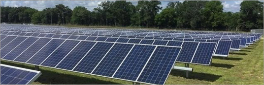 Constellation and URE install 11.8 MW Georgia Cattle Farm